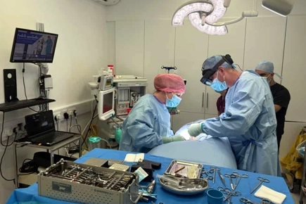 AMVS Vet Uses Combined Virtual And Augmented Reality In Surgery