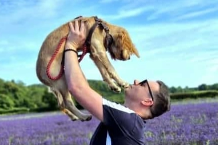 Puppy Given Second Shot At Life Thanks To Willows
