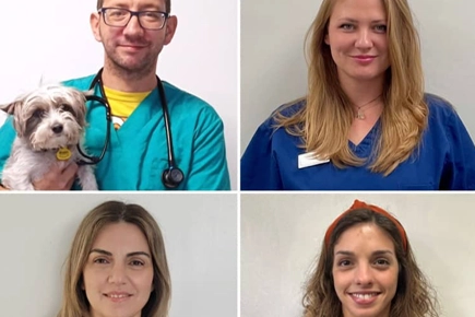 Top Appointments To Lead New Village Vet Service
