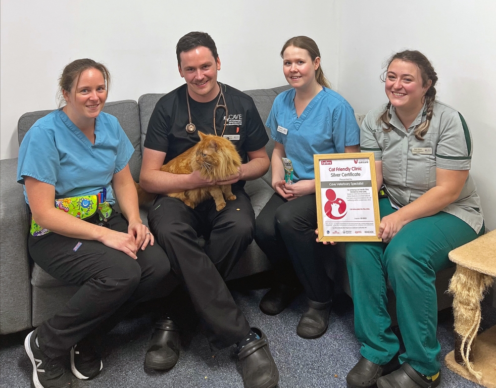 Cats Gets The Cream At Somerset Vets After National Award Win