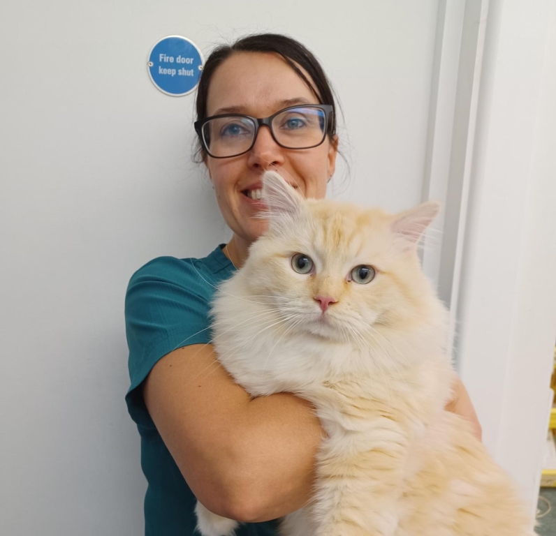 Purrfect Care For Cats At Award-winning Blacks Vets
