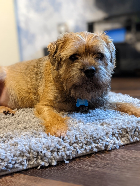 Multidisciplinary Approach From Willows Team Solves Shunt Case