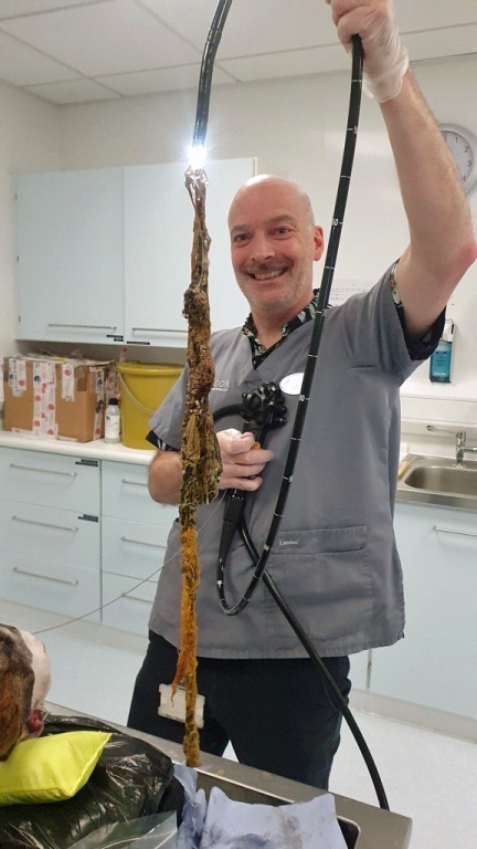 Wakefield Vet Uses Scope To Remove Whole Tea Towel From Inside Family Pet