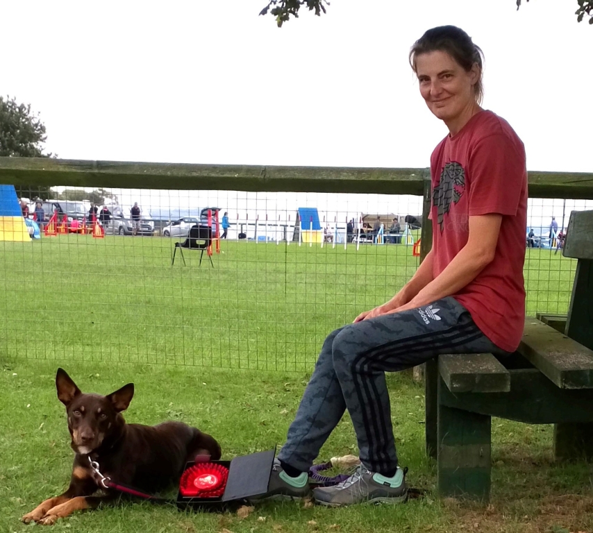 Kentdale RVN Beth Beats All-comers In Agility Endeavours