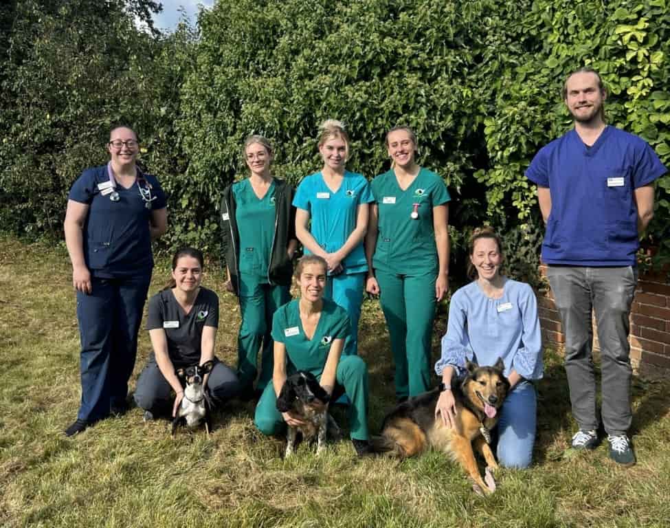 Farnham Vet Practice Is Top Dog For Canine Welfare