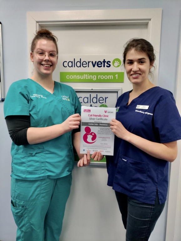Award-Winning Calder Vets 'Purring' With Delight As Cats Get Silver Service