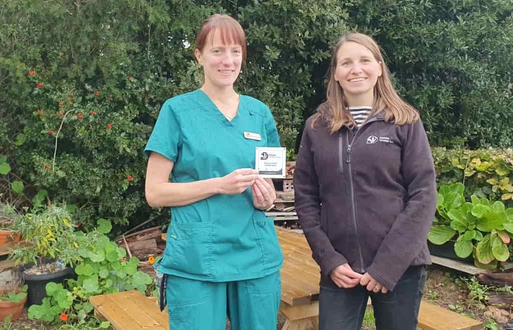 Green Fingered Exeter Vets Go Wild To Create Friendly Space