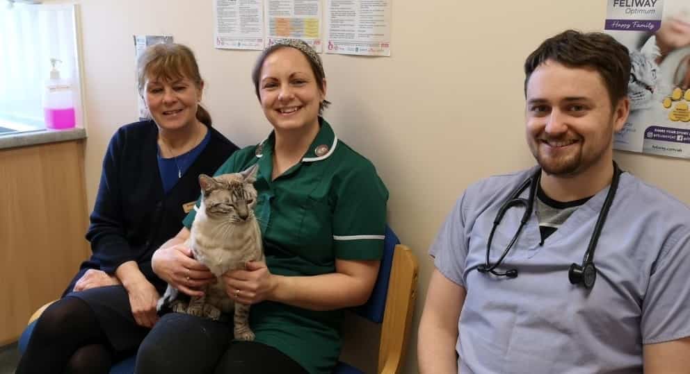 Silver Service For Cats At Top Cambridgeshire Vet Practice