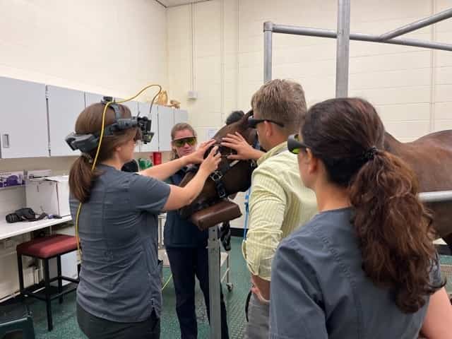 New Laser Eye Treatment Launched At Leading Cambridge Animal Hospital