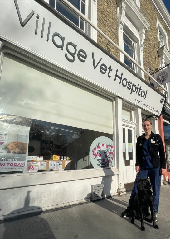 Hampstead Vet Practice Is Top Dog For Canine Welfare