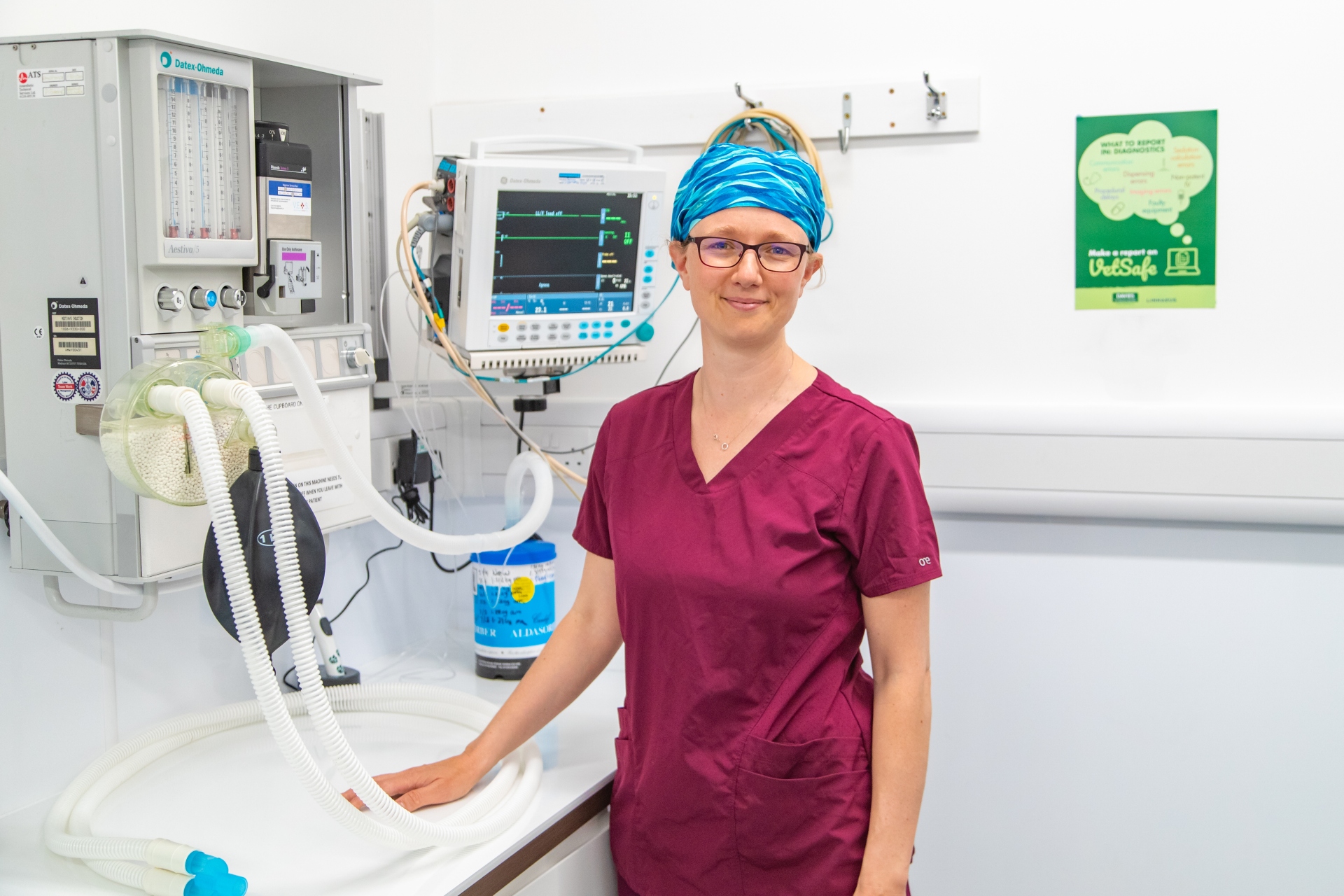 New report explores sustainable steps for the veterinary profession