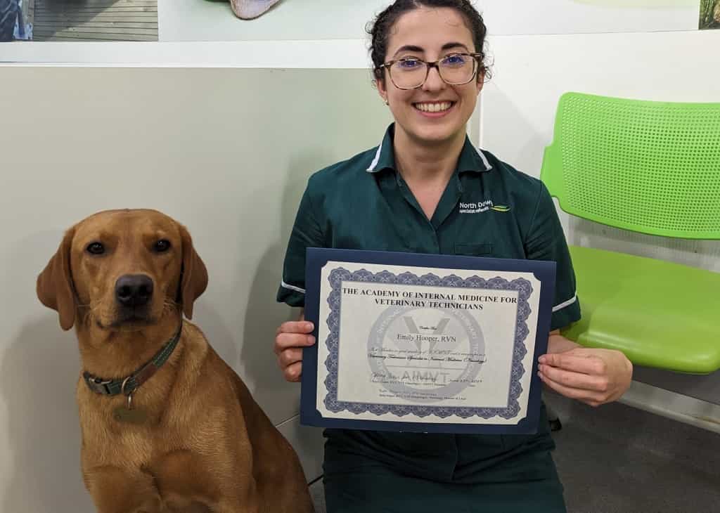 NDSR Nurse Emily Recognised As VTS In Neurology