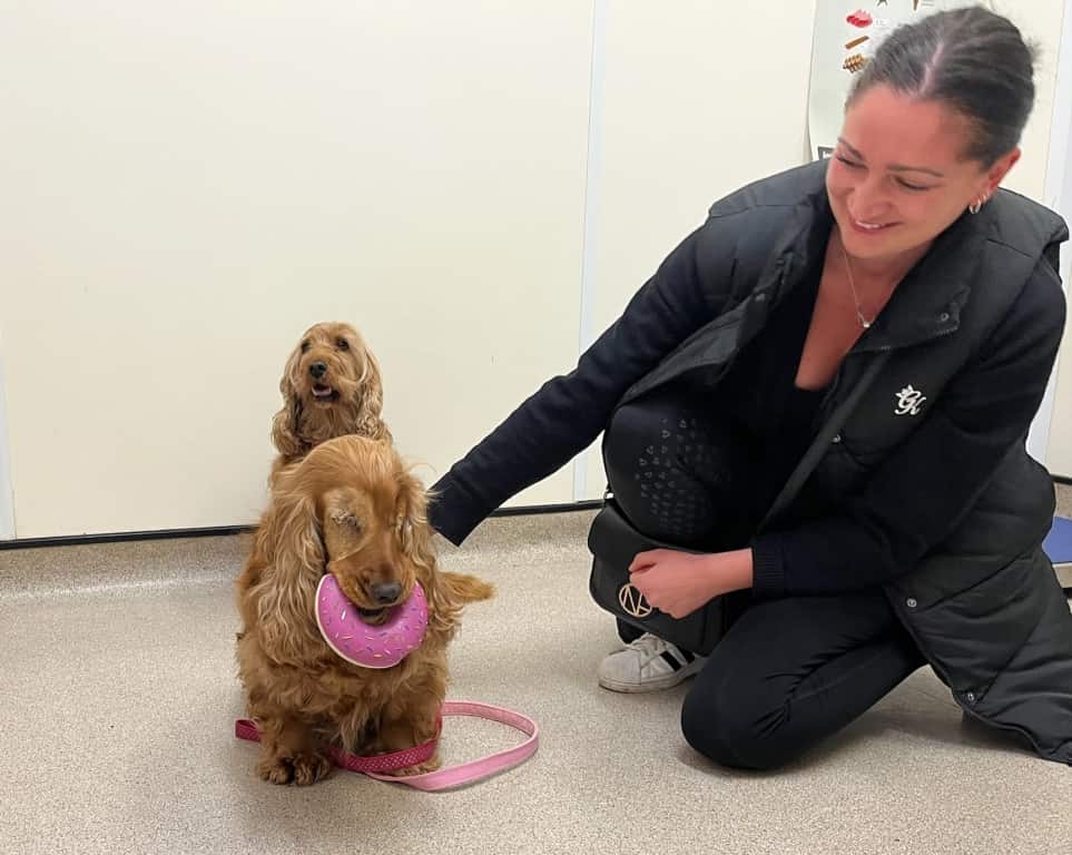 Rescue Dog Indie Living Life To The Full After Losing Sight