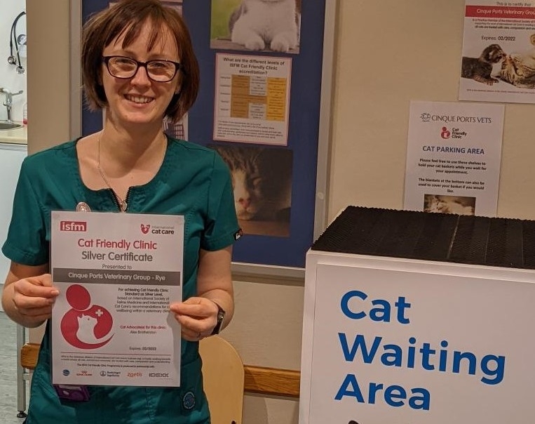 Cats get the cream at two top Kent vet practices
