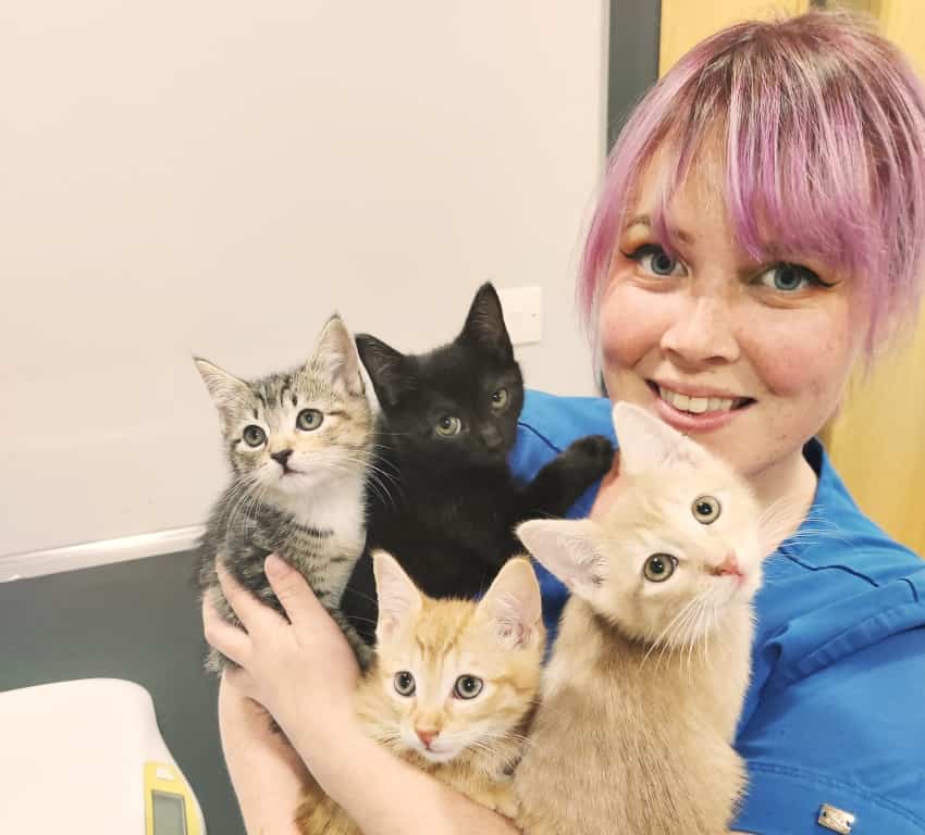 Cats Get The Cream As Vet Practice Dishes Out Silver Service