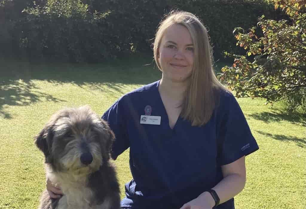 Glasgow Vet Practice Is Top Dog For Canine Welfare