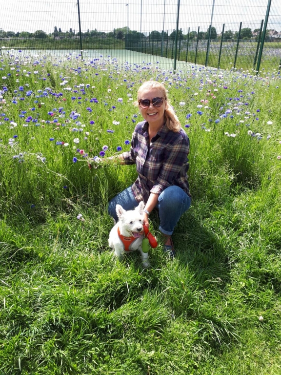 LVS Specialists Get To Bottom Of Terrier's Corny Stomach Trouble