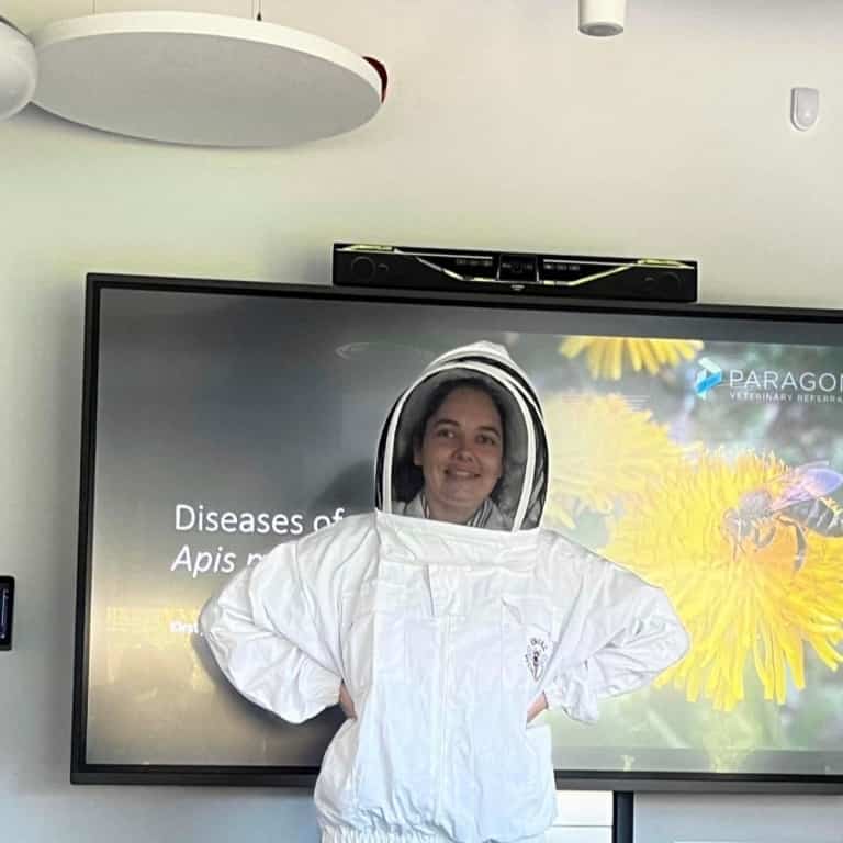 Paragon Vet's Passion For Winged Insects Causing A Buzz