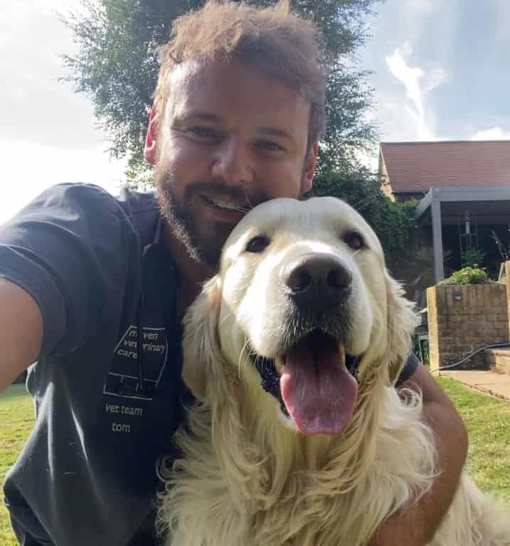 Surrey Vet Practice Officially Top Dog For Canine Friendliness