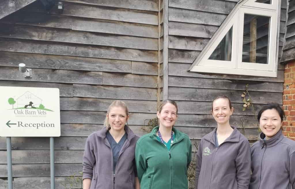 Guildford Veterinary Practice Sees Raft Of Appointments