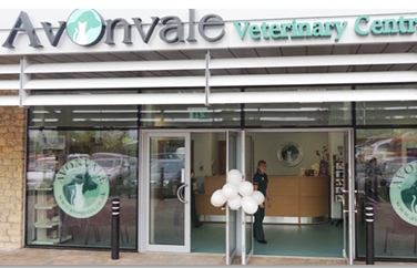Avonvale Veterinary Centres Stratford Gallery Image 1