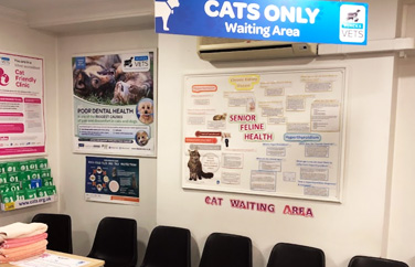 Blacks Vets Lye, Stourbridge Gallery Image 2