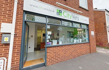 City Vets Whipton Gallery Image 1