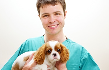 Cromwell Veterinary Group Sawtry Gallery Image 3