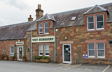 Greenside Veterinary Practice St Boswells Gallery Image 1