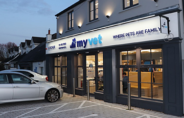 MyVet Lucan Gallery Image 1