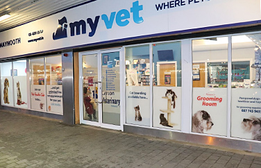 MyVet Maynooth Gallery Image 1