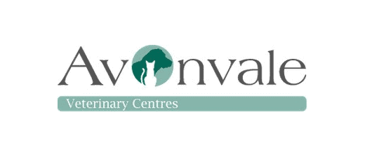 Avonvale Veterinary Centres logo