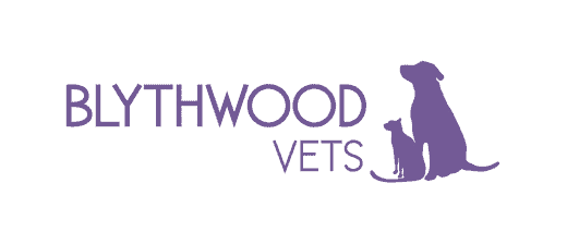 Blythwood Vets Northwood logo