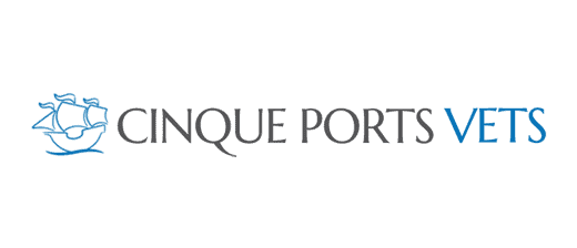 Cinque Ports Lydd logo
