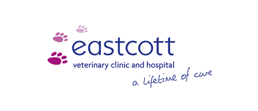 Eastcott Veterinary Clinic and Hospital Crickdale Road logo