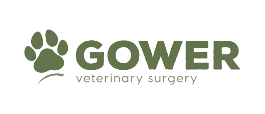 Gower Veterinary Surgery logo