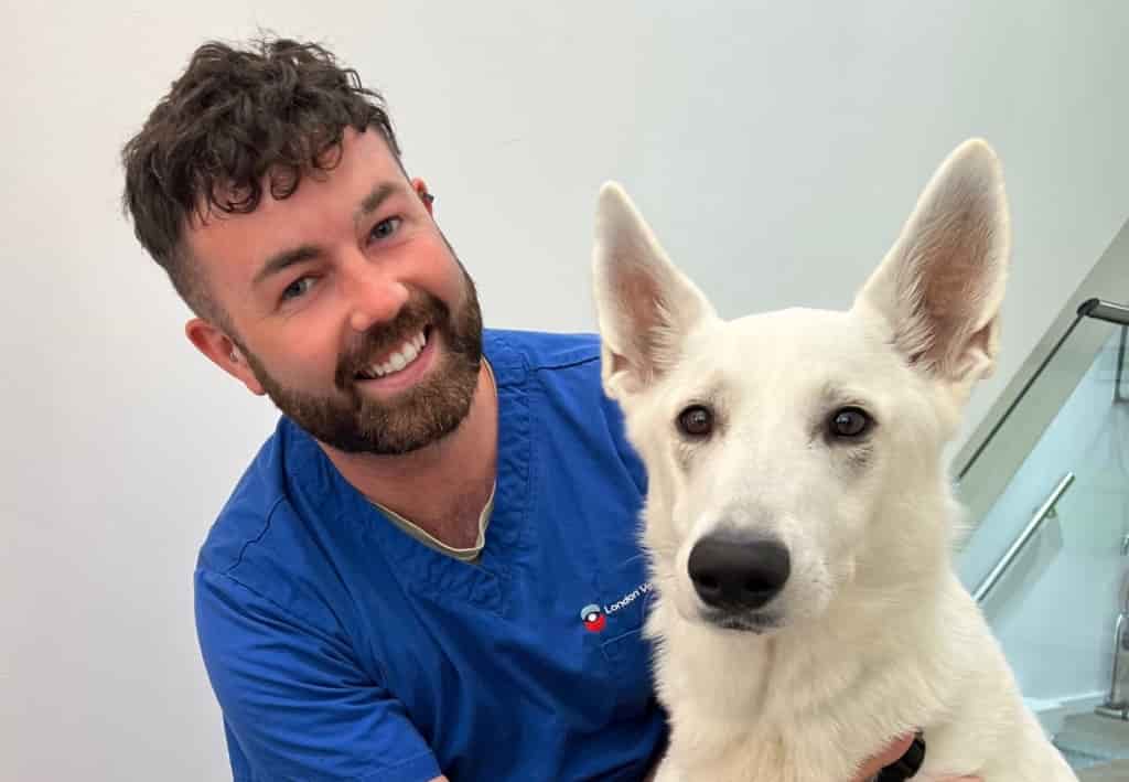 New Head Of Nursing Services For Renowned London Animal Hospital