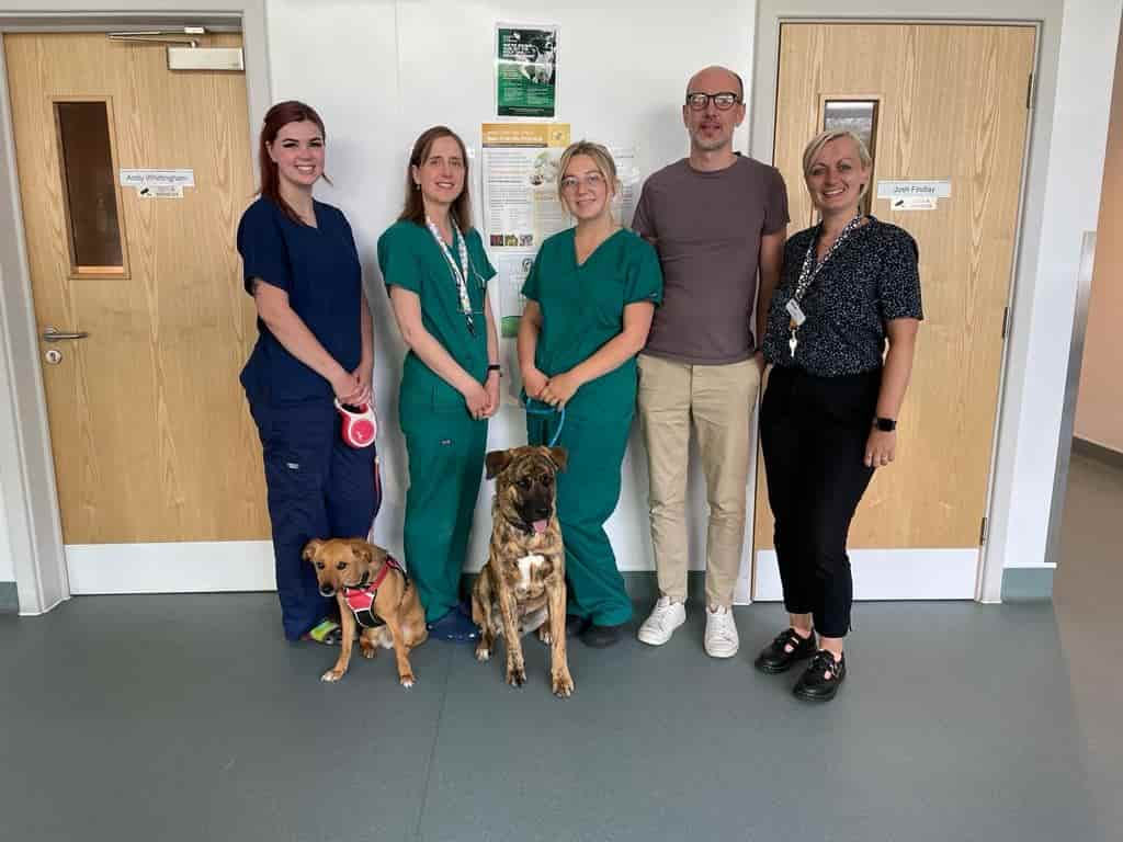 Staffordshire Animal Hospital Barking Up Right Tree With Prestigious Accreditation