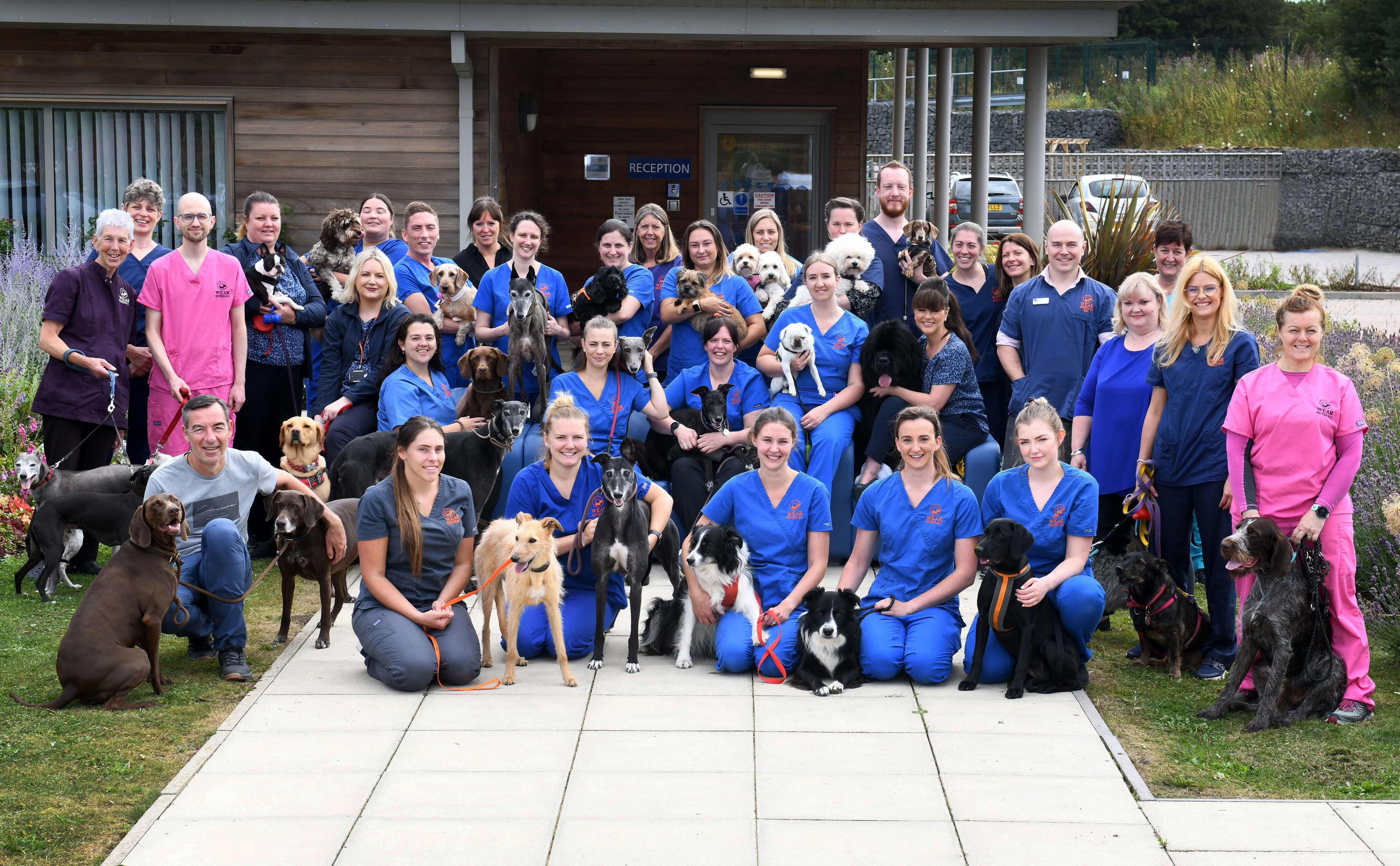 Wear Referrals team to star in 24/7 Pet Hospital