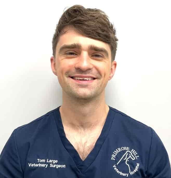 Years Of Focused Work Pays Off For New Specialist