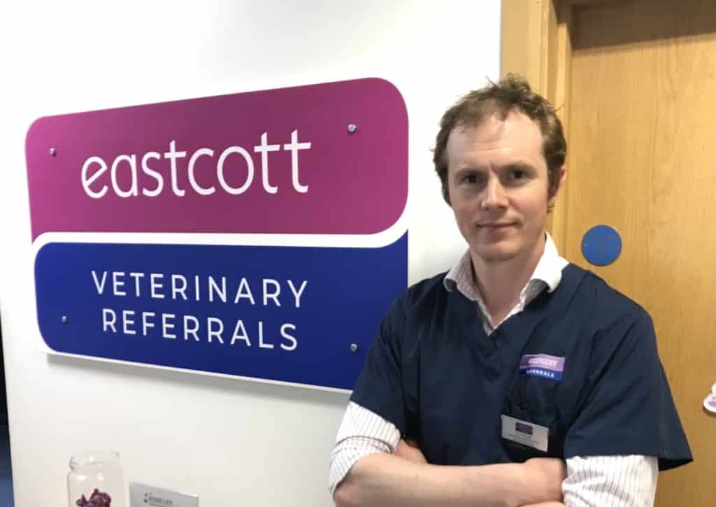 New Head Of Neurology For Leading Animal Hospital