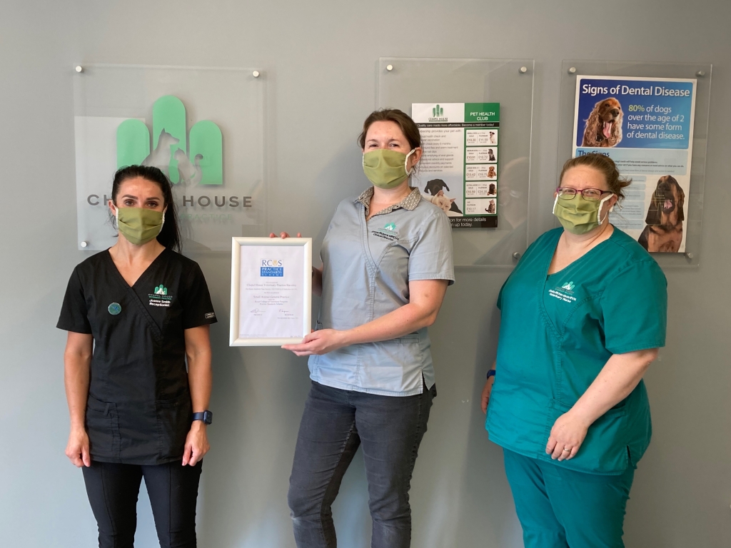 Top Accreditation For First-class Care At Derbyshire Vets