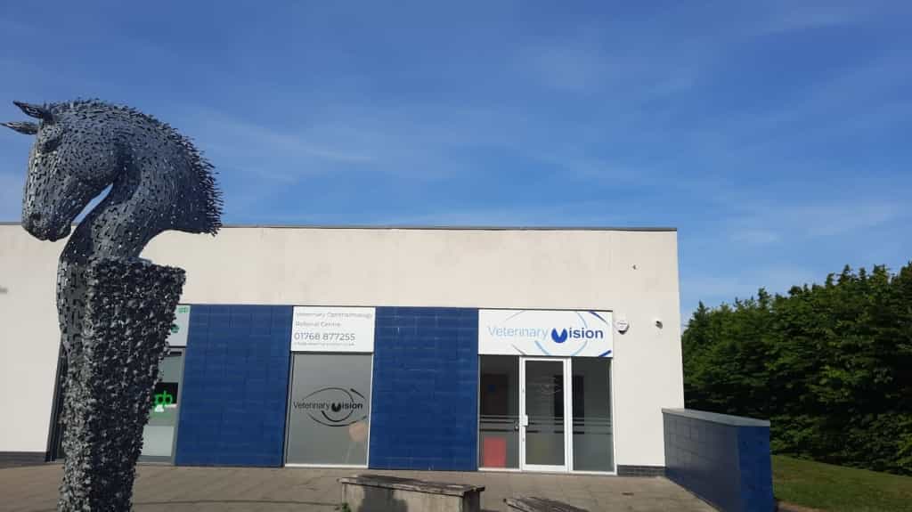Leading Animal Eye Hospital Opens First Site In Scotland