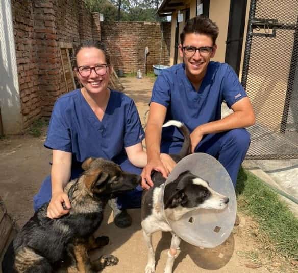 Ten-month African Adventure For Leicestershire Vets