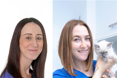 Patient Care Assistants appointed to Linnaeus clinical board for the first time