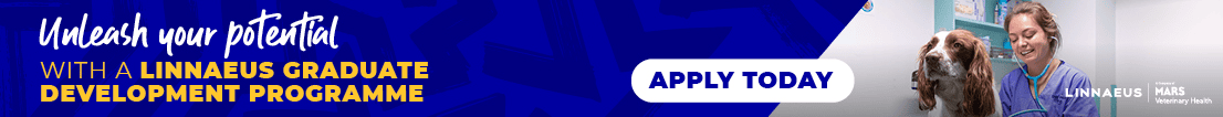 graduate development programmer banner