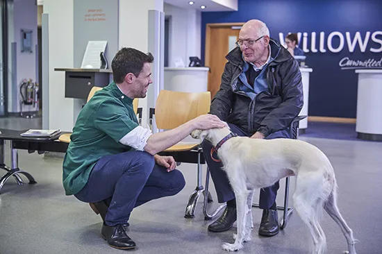 Veterinary sector and NHS join forces for pilot antibiotic amnesty in November