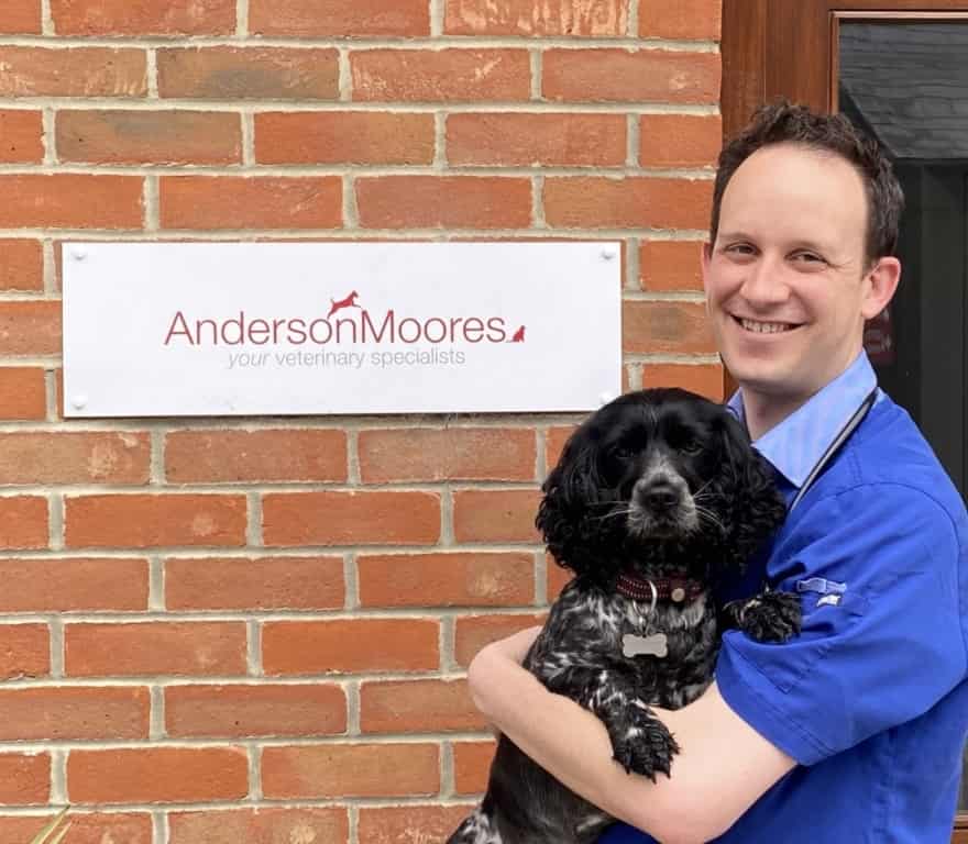 Anderson Moores Launches Full-time ECC Service After Appointment Of Diplomate Adam Mugford
