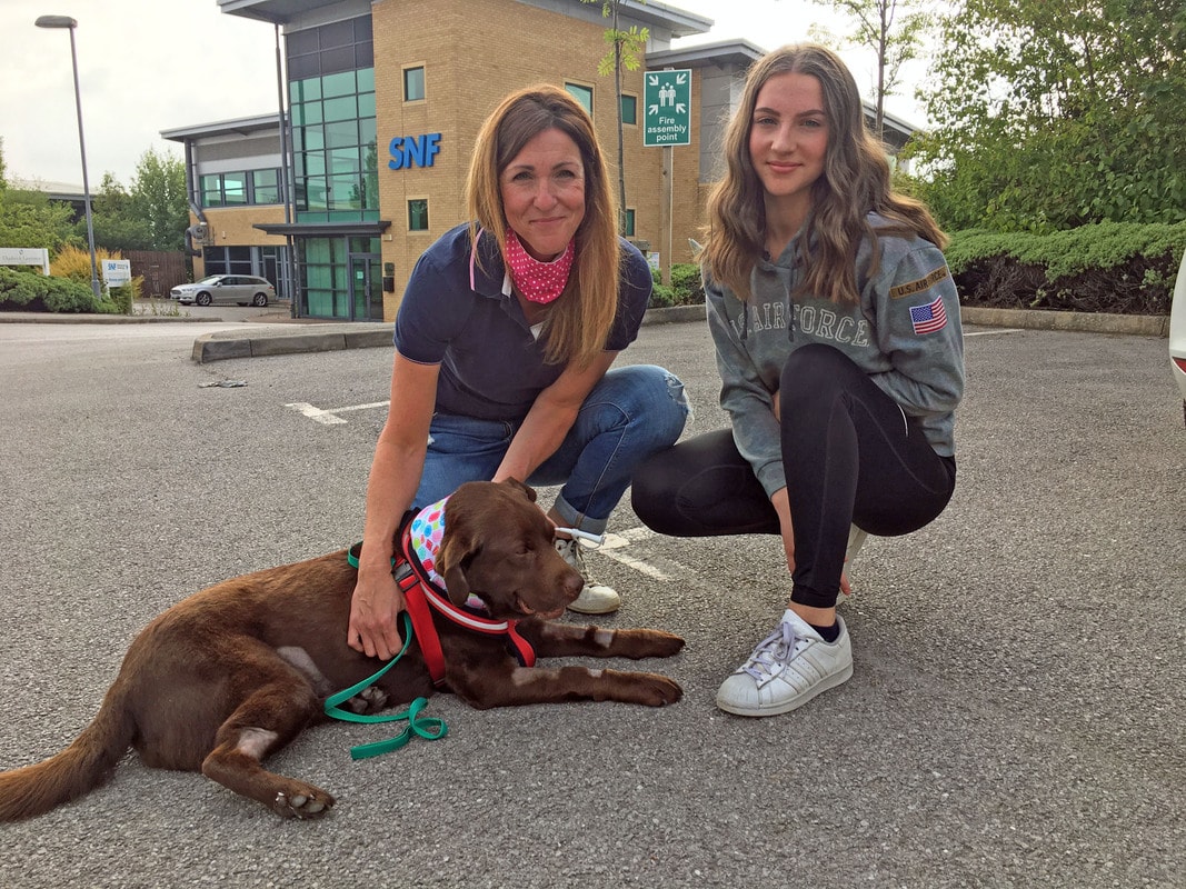 Labrador owners praise life-savers at Paragon