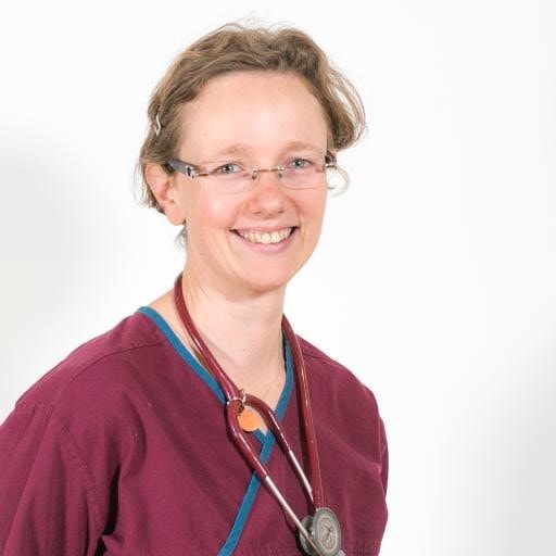 LINNAEUS ‘GREEN CHAMPION’ EDUCATING VETS OF THE FUTURE